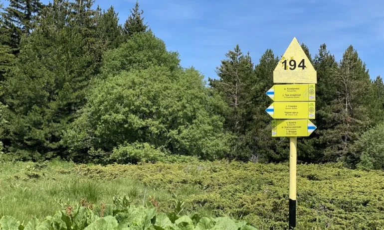 Инициатива Спортувай и почисти – Витоша ти благодари! събира столичани този уикенд - Tribune.bg