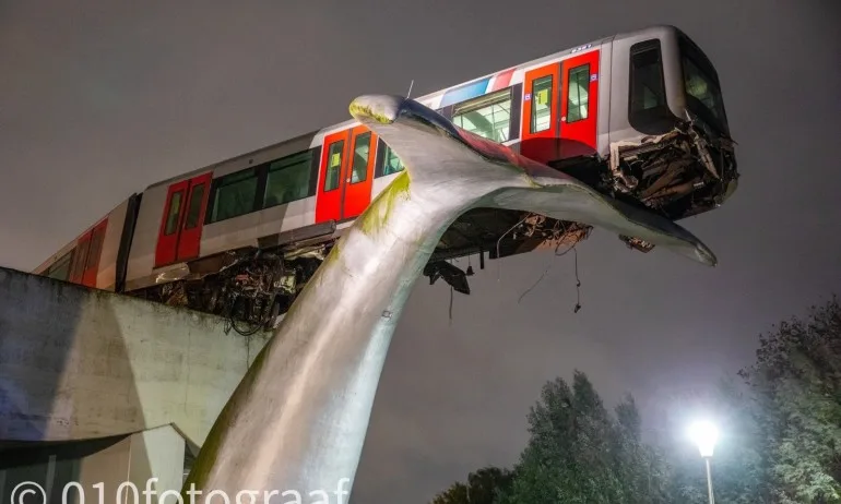 Метровлак спря върху опашката на кит - Tribune.bg