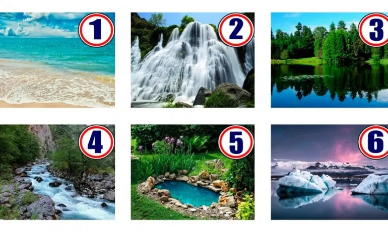 Предупреждение от Вселената – тест - Tribune.bg