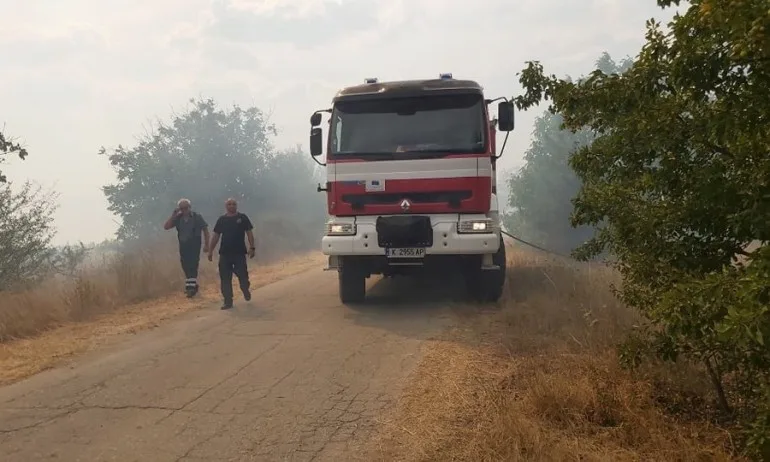 Детска игра в основата на големия горски пожар над Девин - Tribune.bg