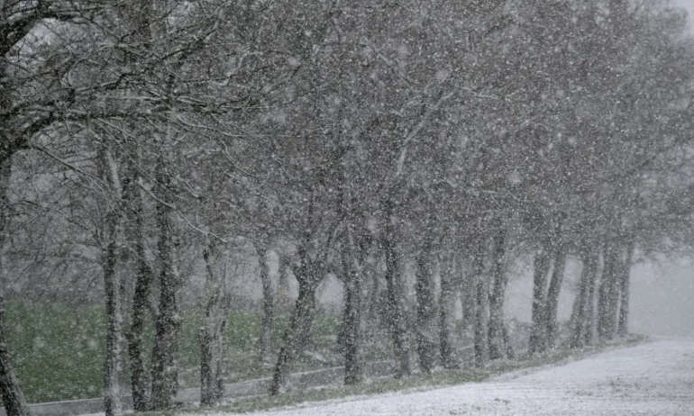 Дъжд и силен вятър на Йордановден и Ивановден - Tribune.bg