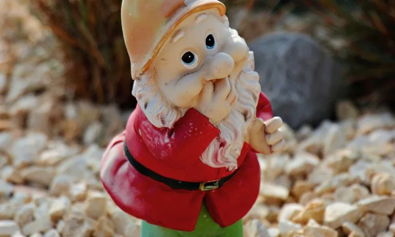 Изберете своето джудже и получете съвет - Tribune.bg