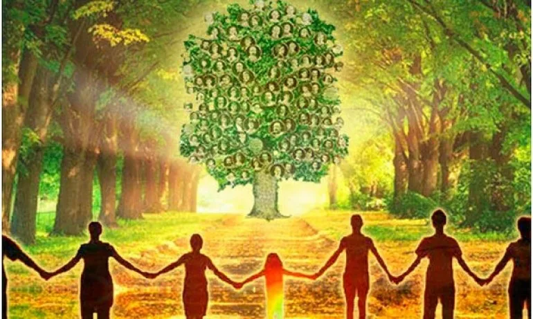 Силата на Рода - Tribune.bg