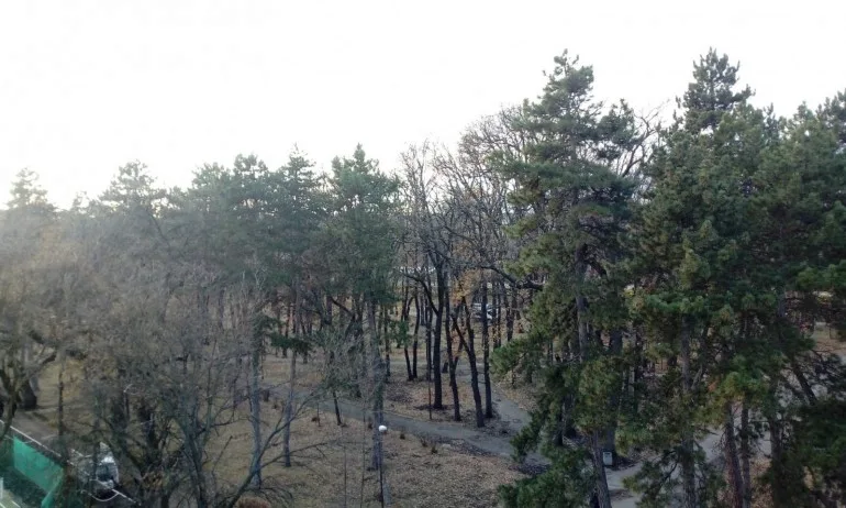 Климатолог: Въздухът над София се изчисти - Tribune.bg