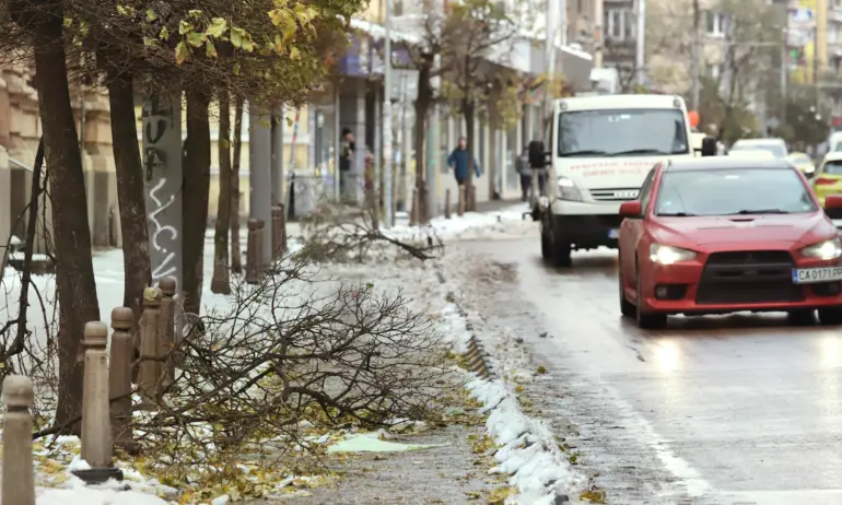 Сибина Григорова: Сори, ама София така ли ще си стои? Не сме във война - Tribune.bg