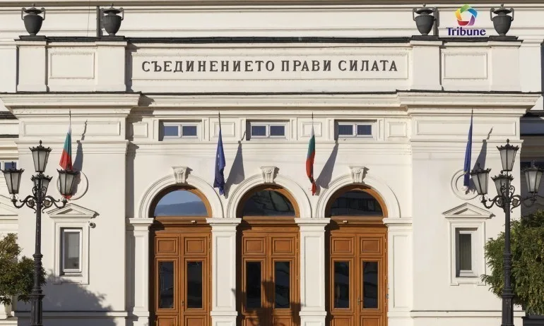 Депутатите единодушно избраха Весела Караиванова за подуправител на НОИ - Tribune.bg