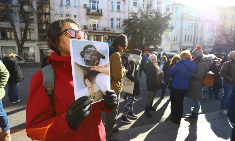 Протест за максимално наказание на насилника на кучето Мечо - Tribune.bg