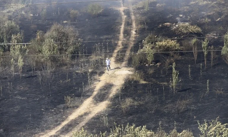 Внимание! В 16 области в страната е в сила екстремален индекс за пожароопасност - Tribune.bg