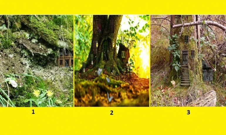 Изберете горска къщичка (ТЕСТ) - Tribune.bg