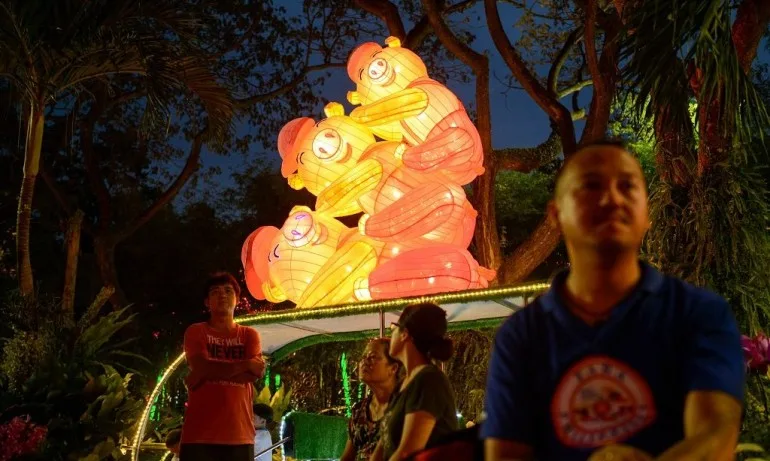 Вече сме в годината на земното прасе - Tribune.bg