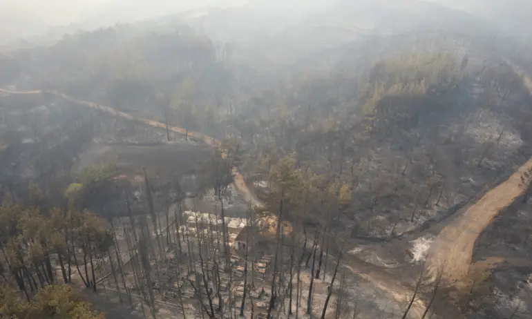 Нови арести за пожарите в Гърция, разследват организиран план за палежи в Александруполис - Tribune.bg