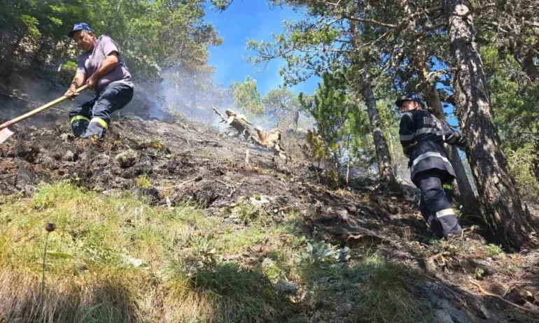 Продължава гасенето на пожара в Рила на височина 2 000 метра - Tribune.bg