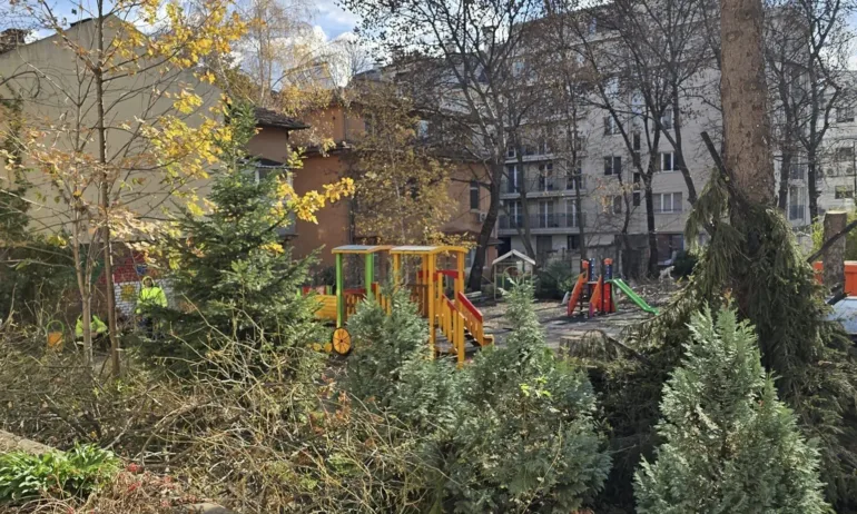 След отстраняване на опасни смерчове, дървета и храсти: Столичната ДГ 106 Княгиня Мария Луиза с благодарности към ГЕРБ - Tribune.bg