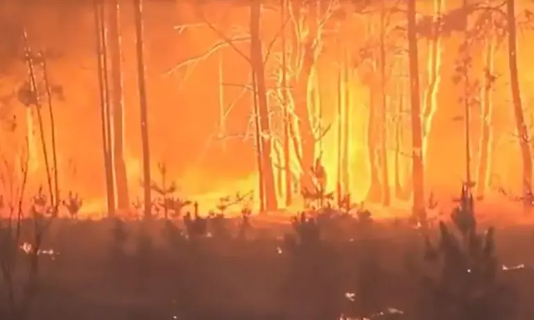 Пожар край вилната зона на Игнатиево и Доброглед