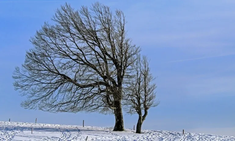 Утре очакваме първи сняг за годината - Tribune.bg