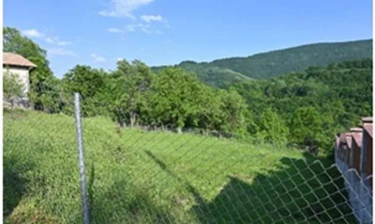 Труд: Ефектът на бумеранга застигна сайта Биволъ - Tribune.bg