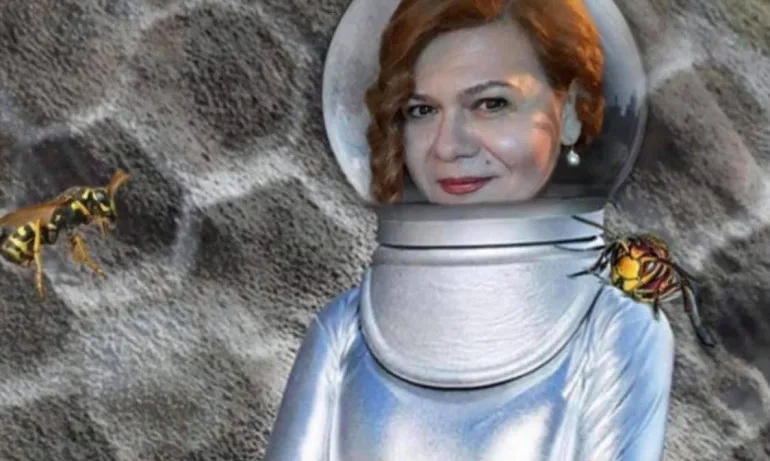 Соня Момчилова с интересен колаж – ще става пчеларка в СЕМ - Tribune.bg