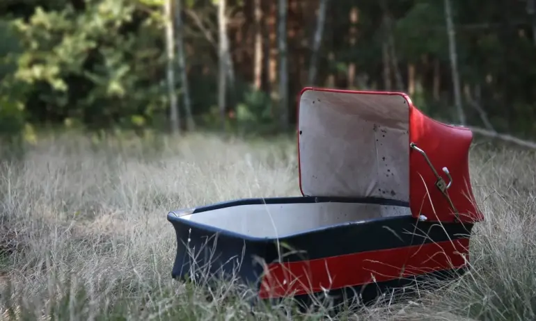 Всяка трета бременност в България приключва с аборт - Tribune.bg