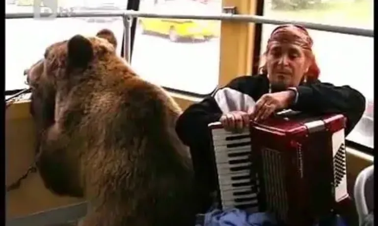 Шкварек: Как ще обясня на внуците, че като дете съм се возил с мечки в трамвая... - Tribune.bg