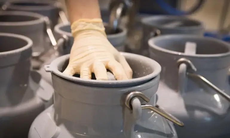 В знак на протест: Фермери от Пловдивско подаряват млякото си - Tribune.bg