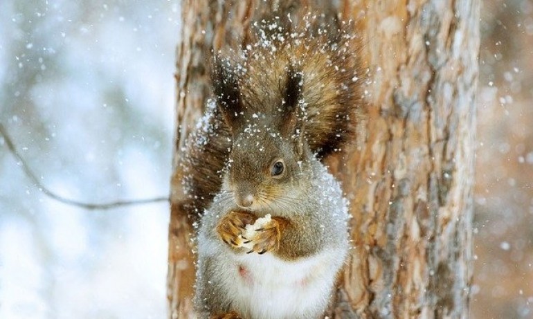 Времето днес: Повишение на температурите до 7 градуса - Tribune.bg