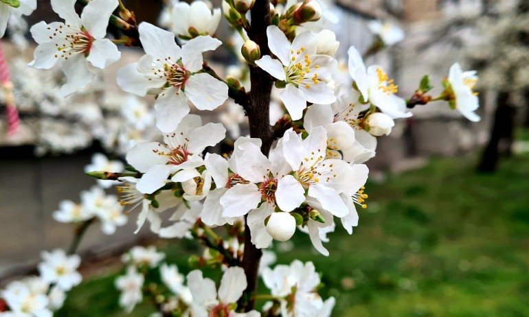 Дъжд и гръмотевици, но температурите до 18 градуса - Tribune.bg