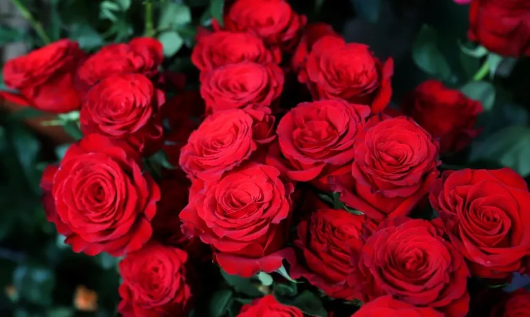 Къде възниква 8-ми март и какво символизира? - Tribune.bg