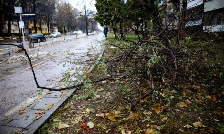 40 дни след бурята: Все още има непочистени тротоати в София - Tribune.bg
