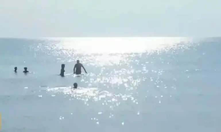 Директорът на РИОСВ-Варна: Сами замърсяваме морето като заустваме неправилно - Tribune.bg