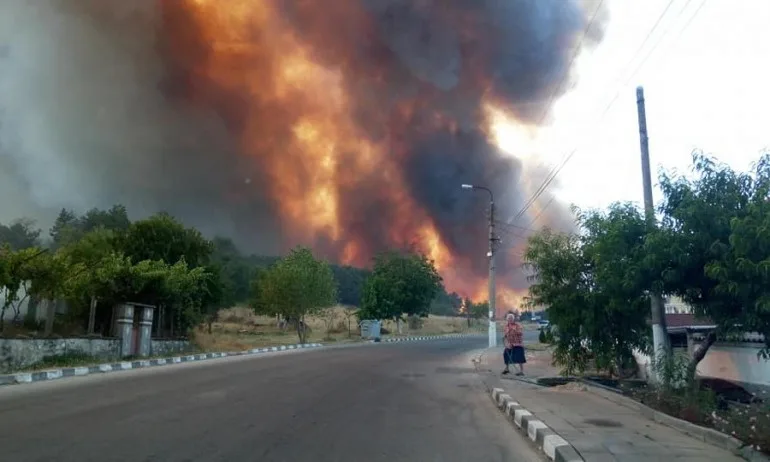 Голям пожар край Старосел, ще евакуират хора (Видео, снимки) - Tribune.bg