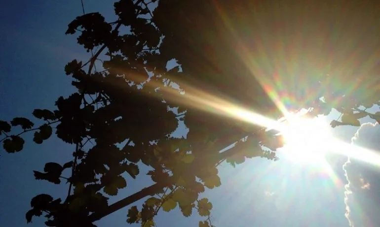 Слънчево и топло с температури до 23 градуса - Tribune.bg