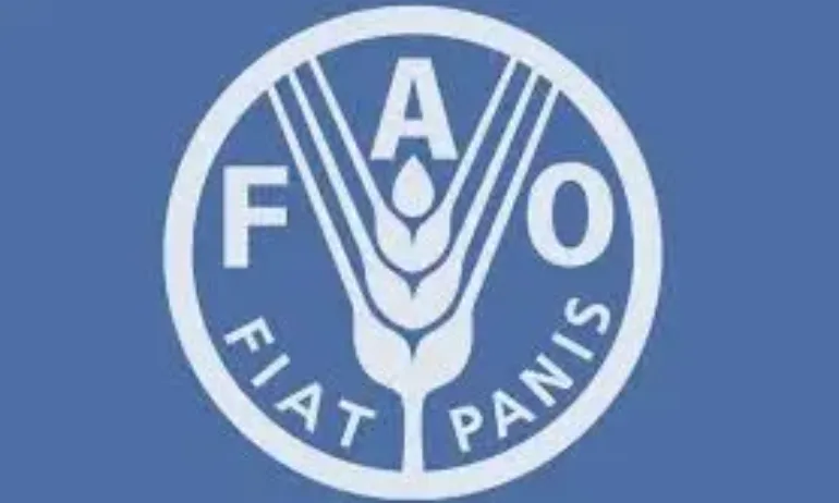 Boйнaтa в Иpaн вeчe ce oтpaзявa нa цeнитe нa xpaнитe в cвeтoвeн мaщaб - Tribune.bg