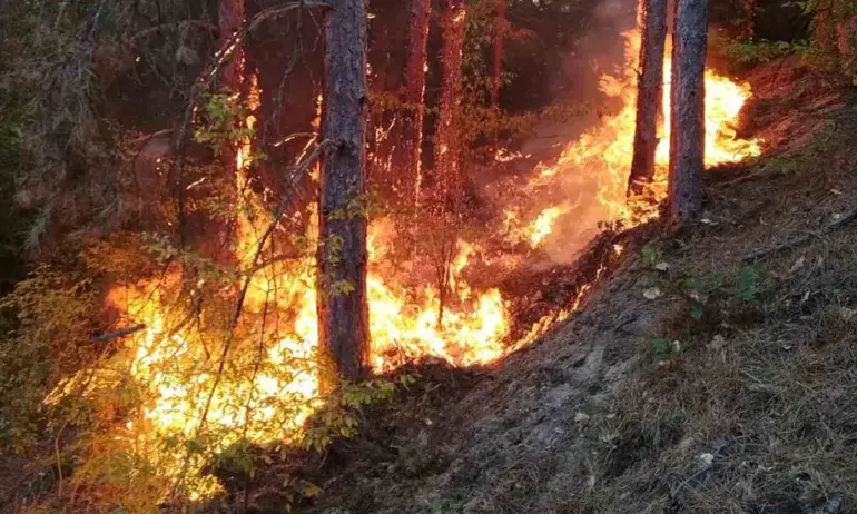 Чехия изпрати два хеликоптера да гасят пожарите, Турция – 20 пожарни 