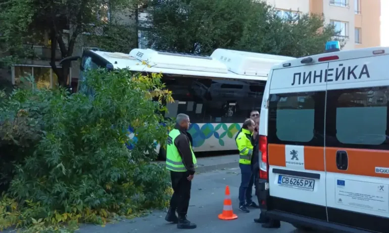 Автобус на столичния градския транспорт се заби в дърво - няма тежко ранени (СНИМКИ/ ВИДЕО) - Tribune.bg