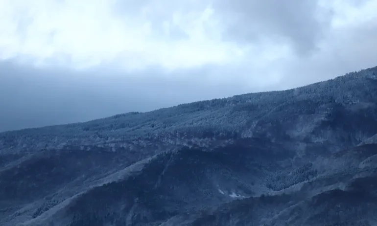 Облачно и ветровито, температурите до 7 градуса - Tribune.bg