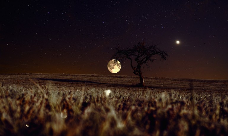 Ретроградна Венера - Tribune.bg