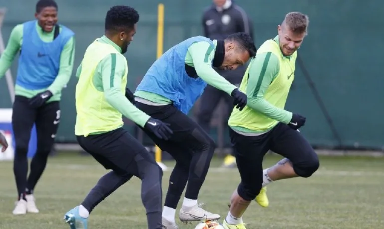 Лудогорец поднови тренировки в Турция - Tribune.bg