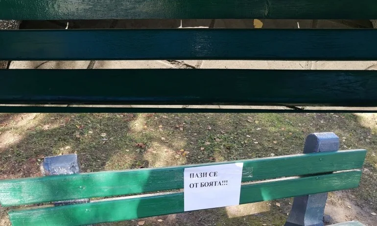 След освежаването на пейките в Слатина: Асене, върнѝ! В партийните цветове си беше по-добре - Tribune.bg