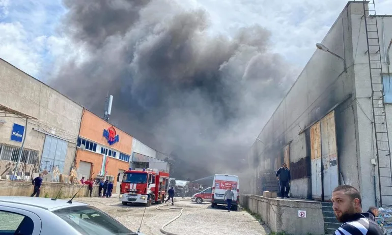Голям пожар в Пловдив, вятърът затруднява огнеборците - Tribune.bg