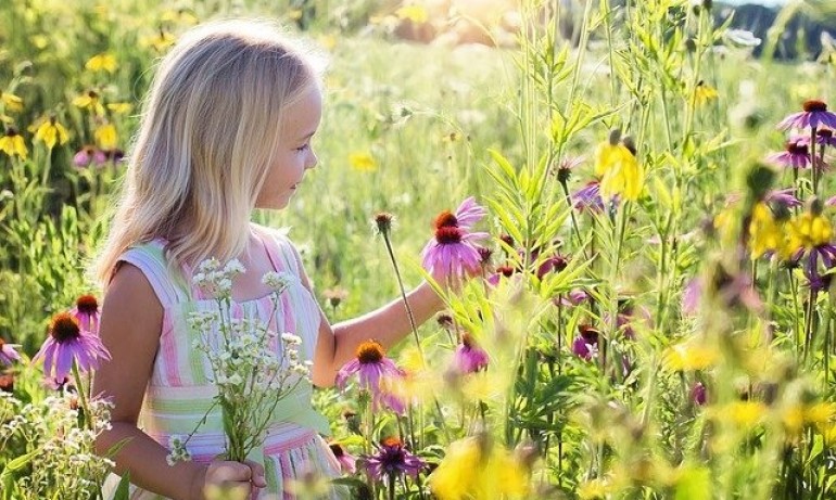 Слънчев понеделник с температури до 21 градуса - Tribune.bg