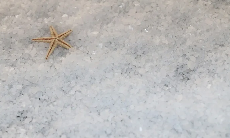 Ритуал за успех в понеделник - Tribune.bg