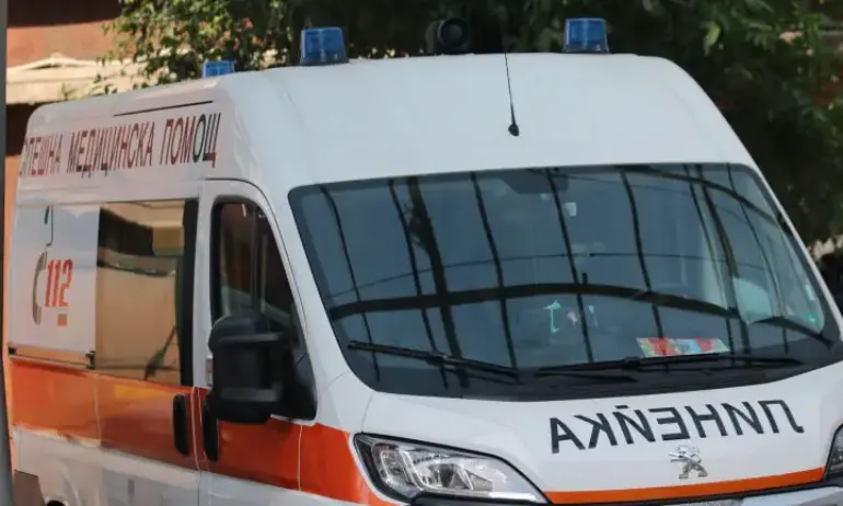 Убийство в село Болярци след свада в етническата махала - Tribune.bg