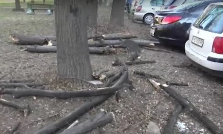 Ураганният вятър нанесе щети в Хасково, Пловдив, Пазарджик и Сливен - Tribune.bg