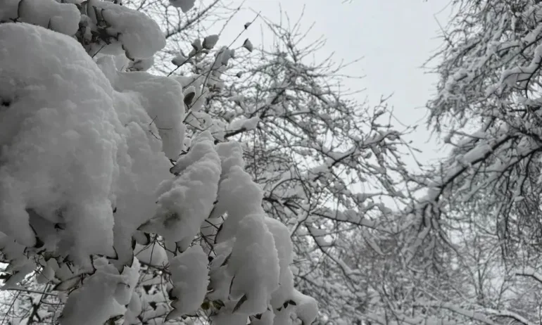 Бедствено положение е обявено на територията на община Смолян - Tribune.bg