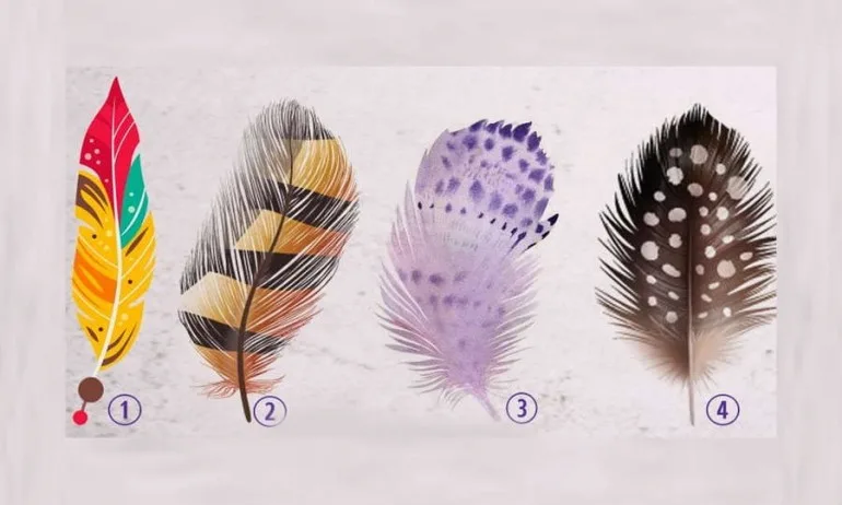 Изберете перо и разберете жизнената си мисия - Tribune.bg