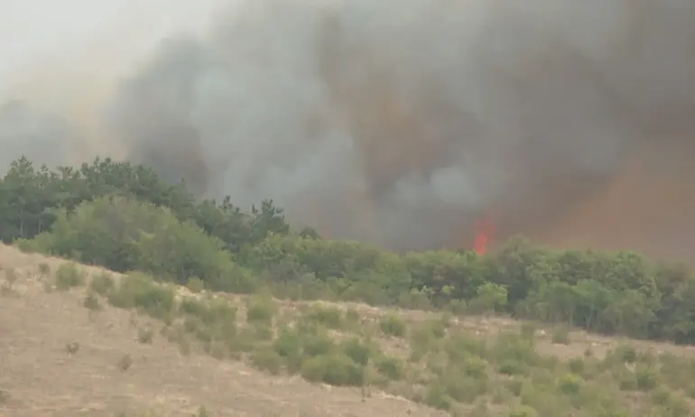 Четири пожара горят на територията на област Бургас - Tribune.bg