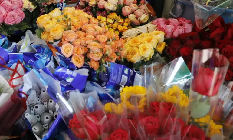 Безплатен транспорт за Голяма Задушница на 14 февруари 2026 г. - Tribune.bg