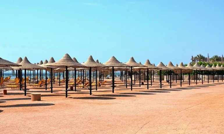 МОН спира приемането на заявки за безплатни лагери - Tribune.bg