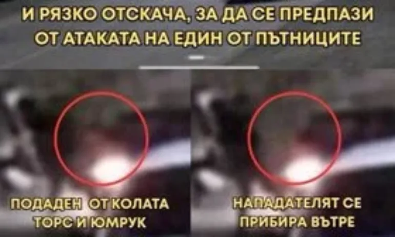 На видео, приложено към делото, се вижда повечко, отколкото на публикуваното от елфите (Видео) - Tribune.bg