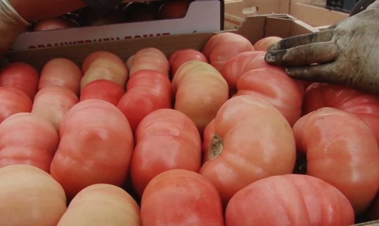 Национален протест на производителите на плодове и зеленчуци - Tribune.bg